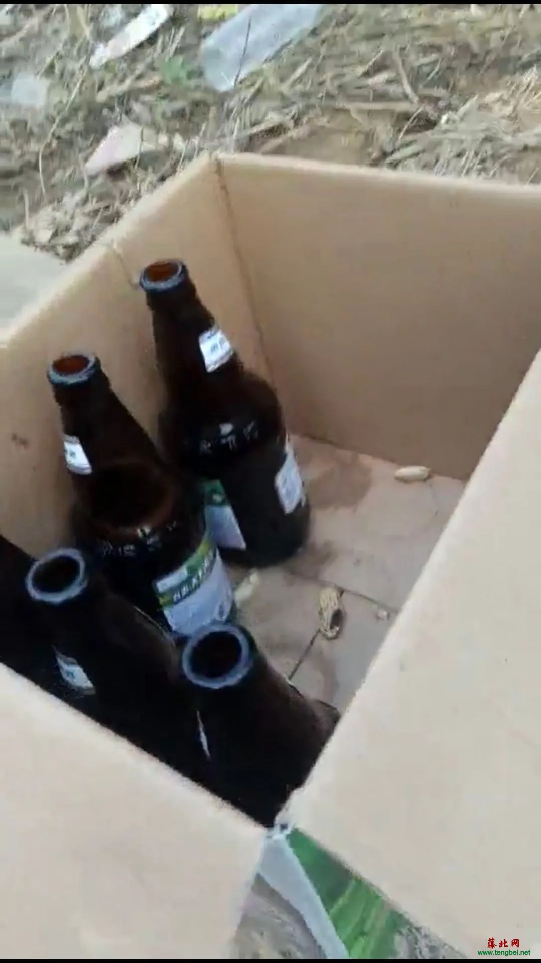 满地洒落啤酒瓶碎片,旁边还丢弃一箱喝完啤酒的空瓶子,这?