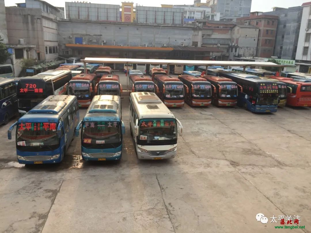 请扩散今天起藤县太平汽车总站全线恢复广东省际客运班车