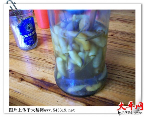 1332035nwlpqy9m2q5msw6.jpg.thumb.jpg
