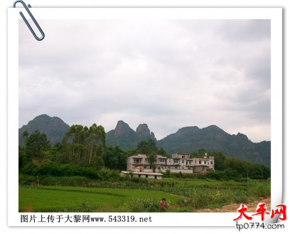 135832ghdty59ootmdz8ho.jpg.thumb.jpg
