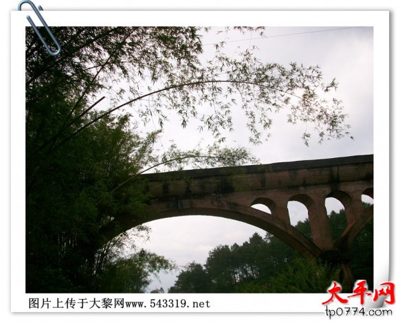 140419fbdif07fosg5rfrw.jpg.thumb.jpg