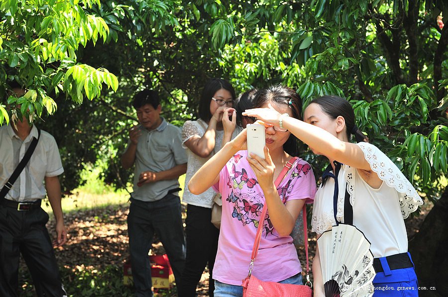 本图片已被缩小，点击查看原大小图片。