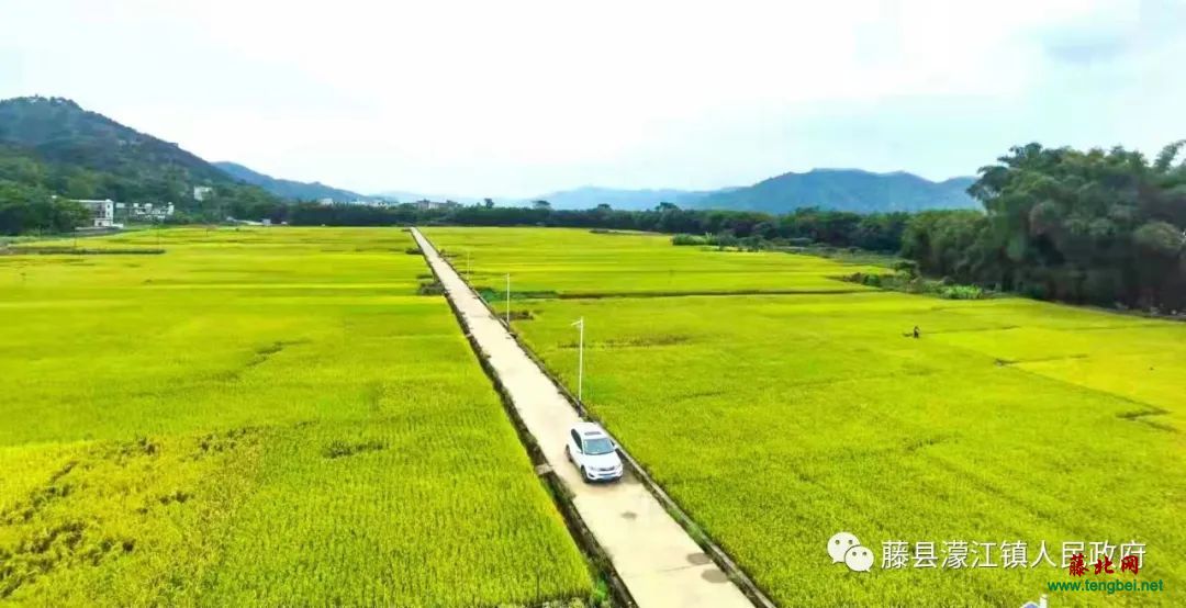 梧州市藤县蒙江镇图片